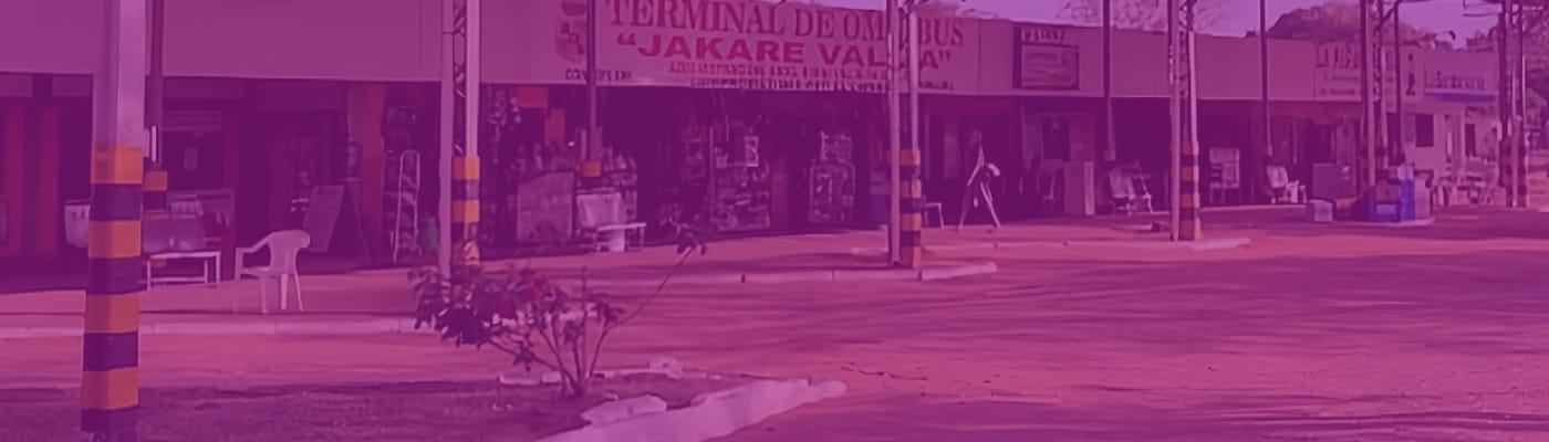 Terminal de Concepción